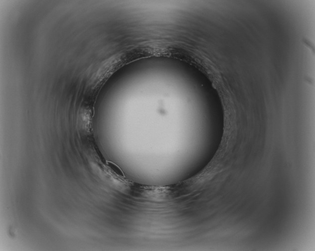 X0000103480288200809191906