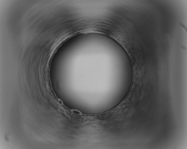 X0000103480289200809191905