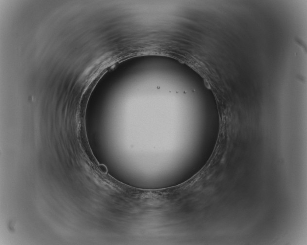 X0000103480290200809191905