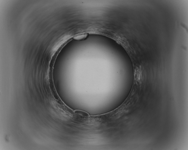 X0000103480292200809191905