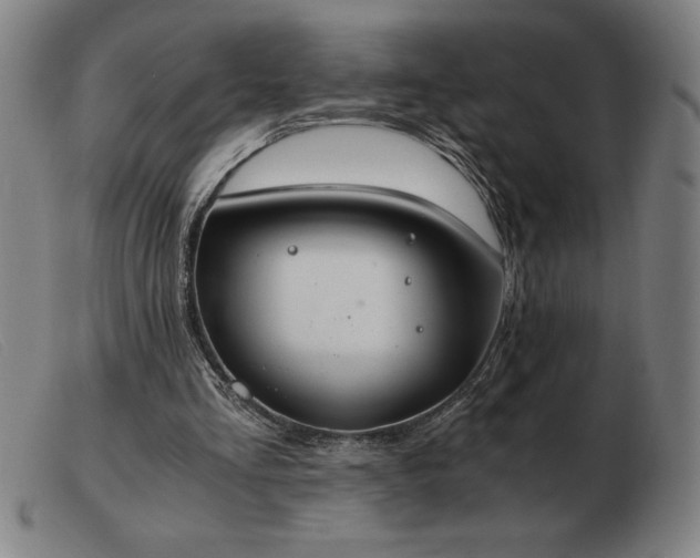 X0000103480293200809191905