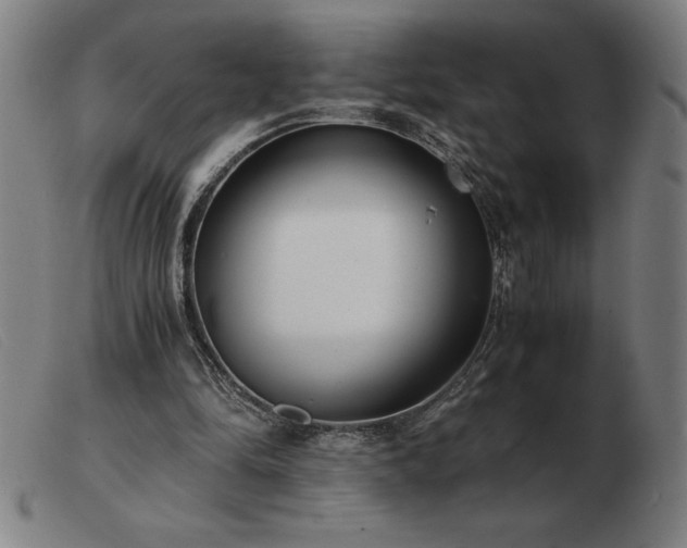 X0000103480294200809191905