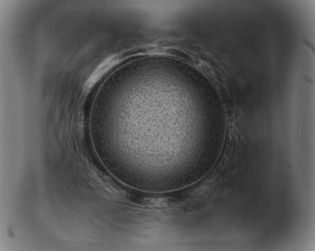 X0000103480295200809191905