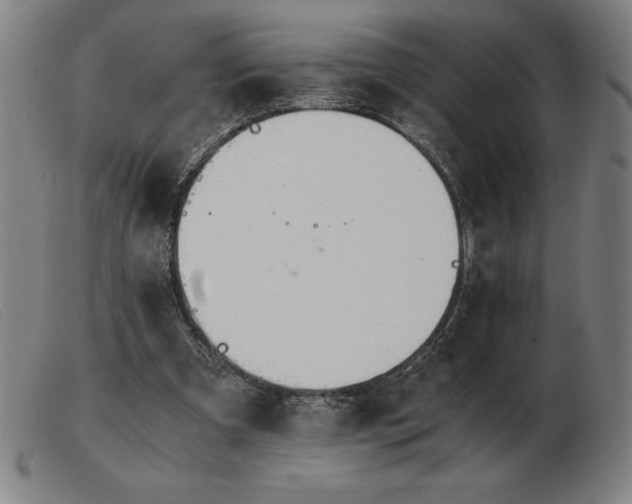 X0000103480297200809191905