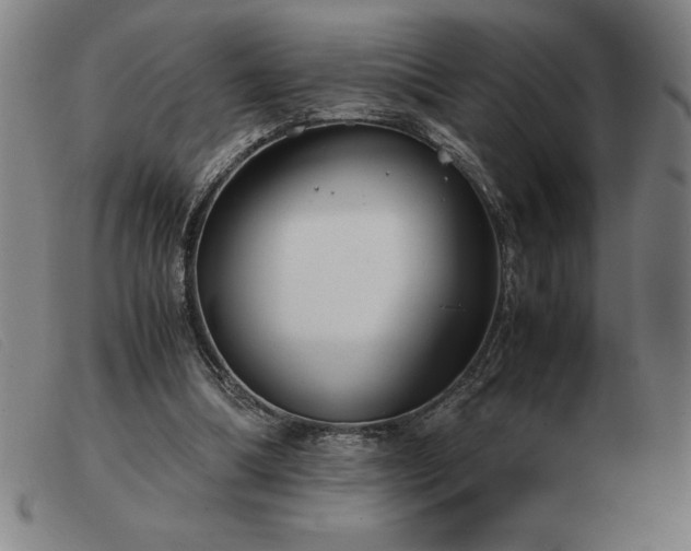 X0000103480298200809191905