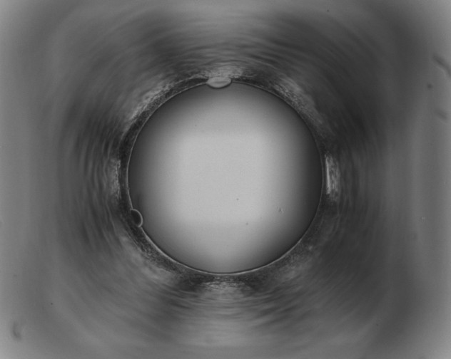 X0000103480300200809191905
