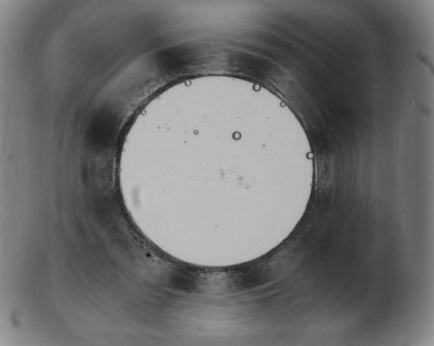 X0000103480301200809191905