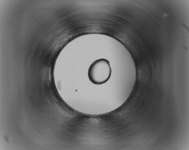 X0000103480302200809191905