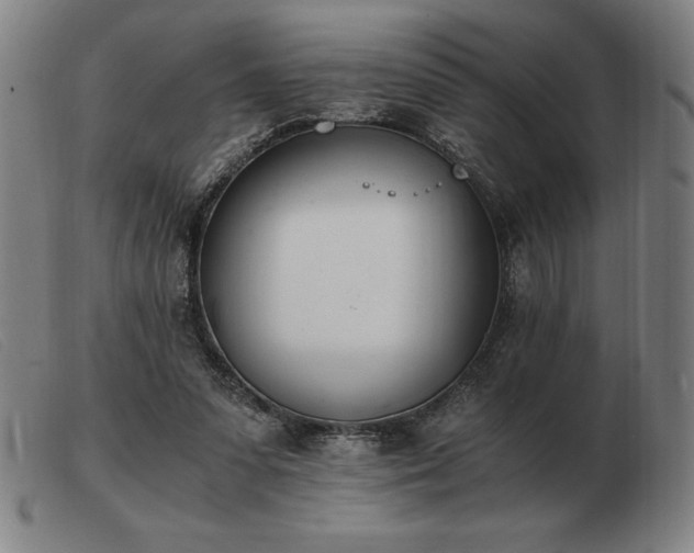 X0000103480303200809191905