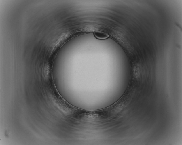X0000103480304200809191905