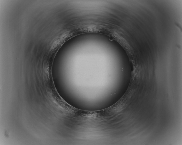 X0000103480306200809191905