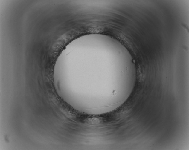 X0000103480307200809191905