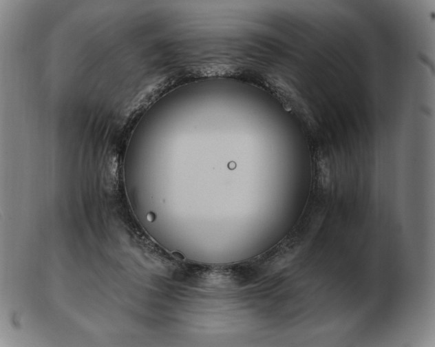 X0000103480308200809191905