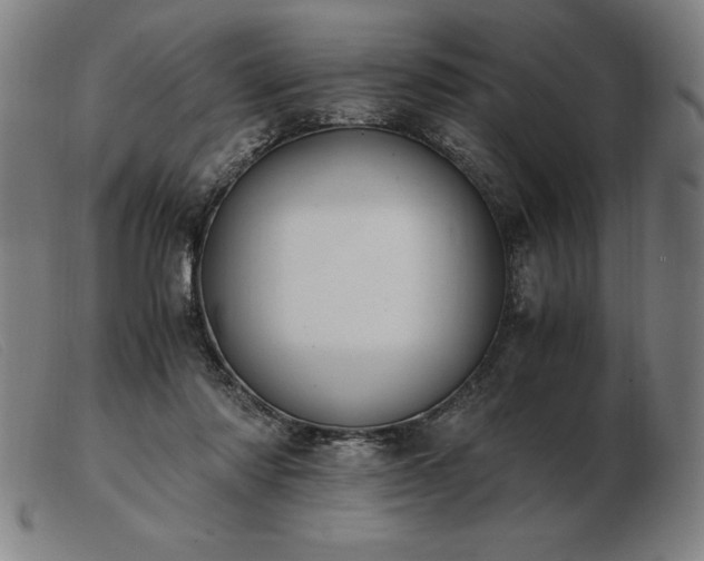 X0000103480310200809191905