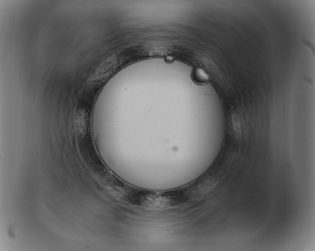 X0000103480311200809191905