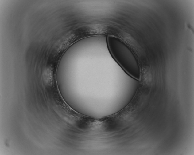 X0000103480312200809191905