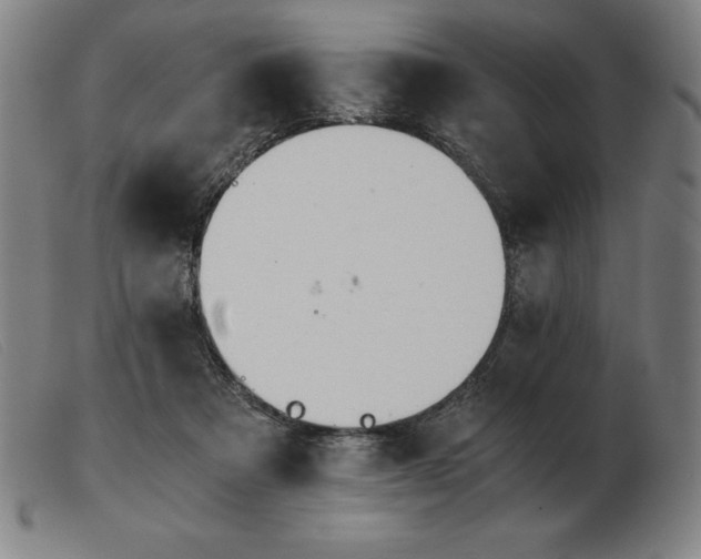 X0000103480313200809191905