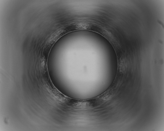 X0000103480314200809191905