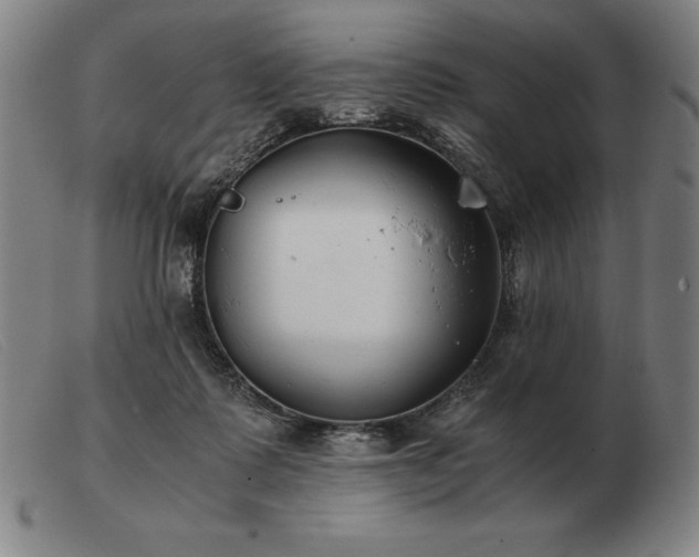 X0000103480315200809191905