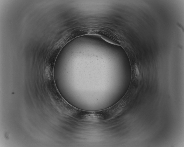 X0000103480316200809191905