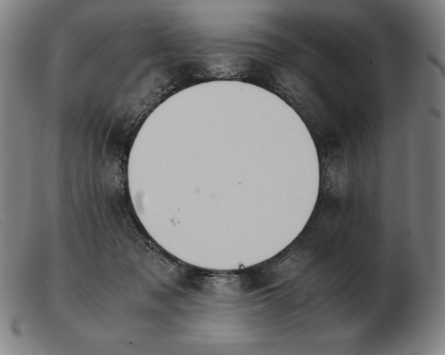 X0000103480317200809191905