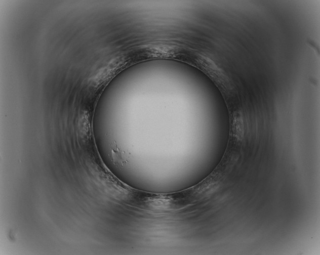 X0000103480318200809191905