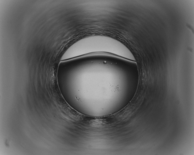 X0000103480320200809191905
