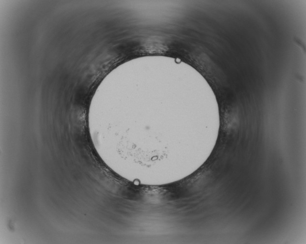 X0000103480321200809191905