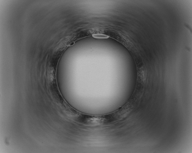 X0000103480323200809191905
