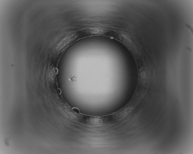 X0000103480325200809191905