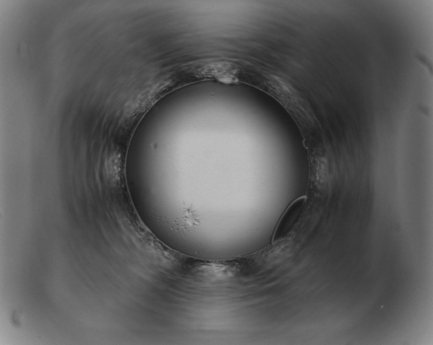 X0000103480326200809191905