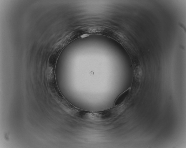 X0000103480327200809191905