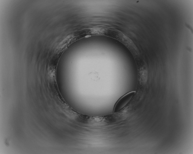 X0000103480329200809191905