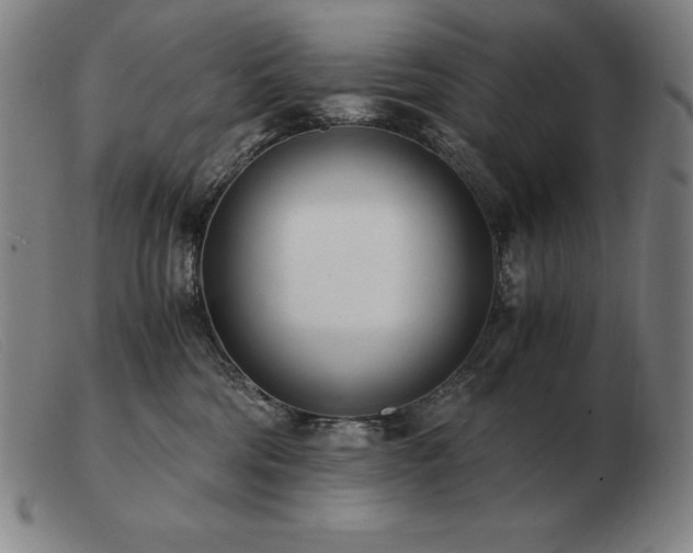 X0000103480330200809191905