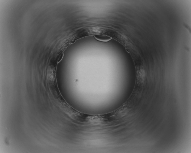 X0000103480331200809191905
