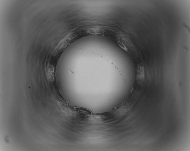X0000103480332200809191905