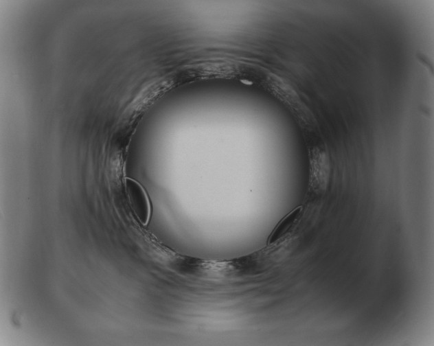 X0000103480333200809191905