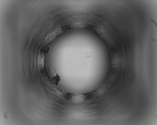 X0000103480334200809191905