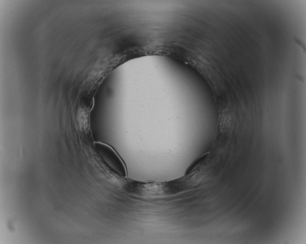 X0000103480335200809191905