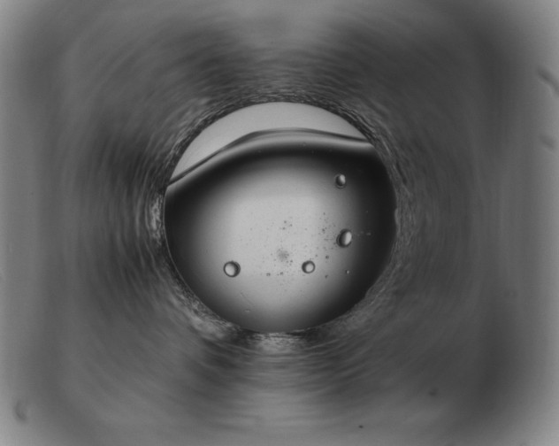 X0000103480336200809191905