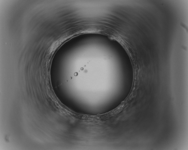 X0000103480337200809191904