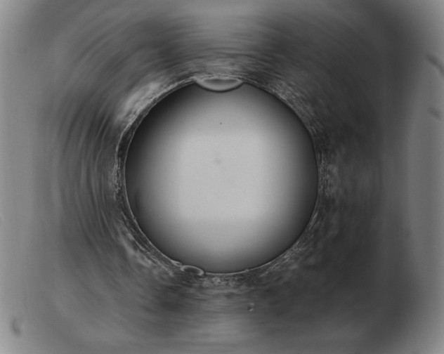 X0000103480338200809191904