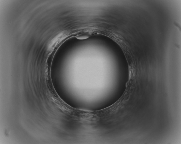 X0000103480339200809191904