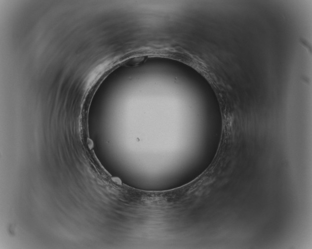 X0000103480340200809191904