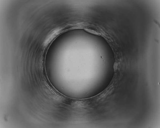 X0000103480341200809191904