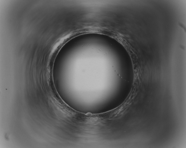 X0000103480342200809191904