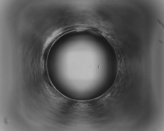 X0000103480343200809191904