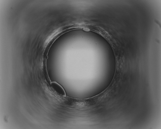 X0000103480344200809191904