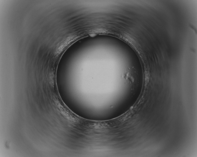 X0000103480345200809191904