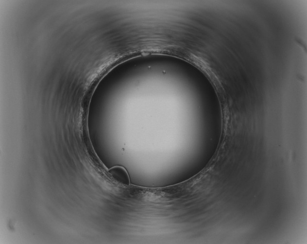 X0000103480346200809191904